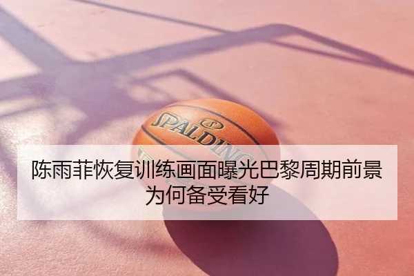 陈雨菲恢复训练画面曝光巴黎周期前景为何备受看好