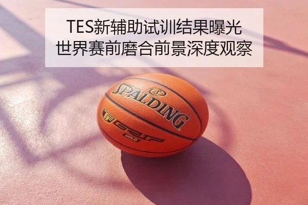TES新辅助试训结果曝光 世界赛前磨合前景深度观察